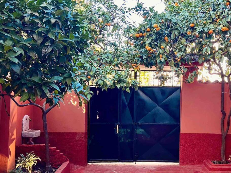 Zarlett House, Pazari Ri ,Villa With Garden,Parking Tirana Exterior foto