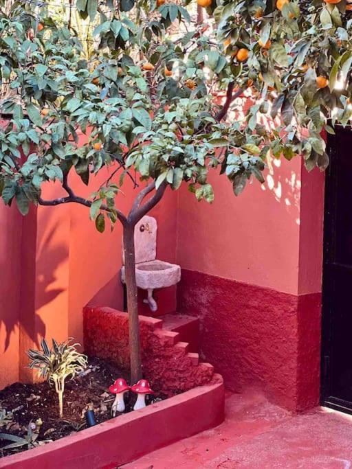 Zarlett House, Pazari Ri ,Villa With Garden,Parking Tirana Exterior foto